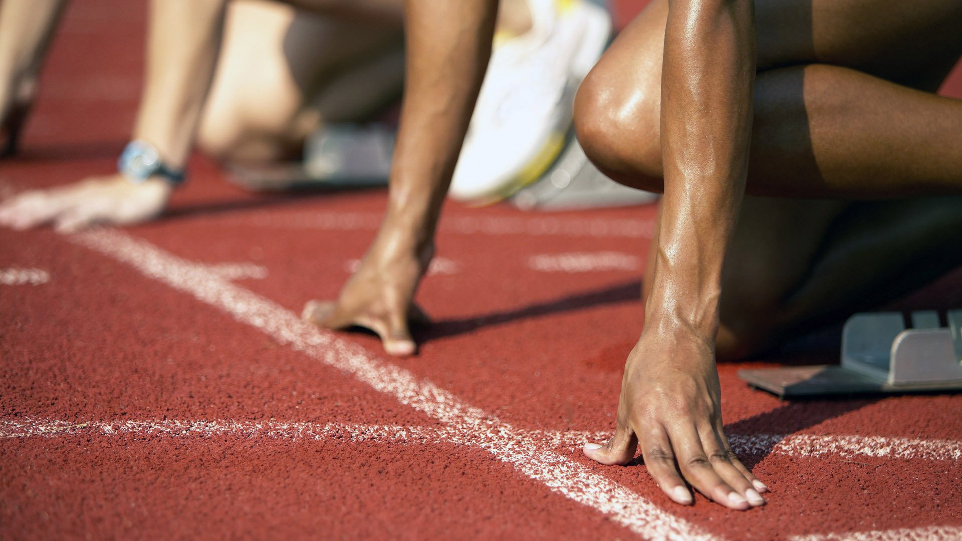 体育新闻中心粉丝互动报道,体育新闻报道视频